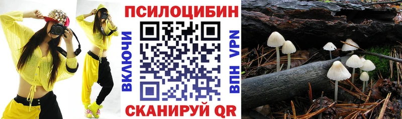 Псилоцибиновые грибы Magic Shrooms  Холмск 