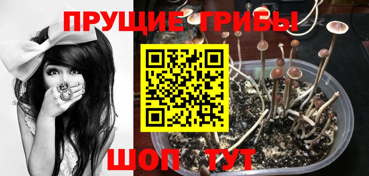 Псилоцибиновые грибы ЛСД  Галлюциногенные грибы Psilocybe  Холмск  Вход с VPN 